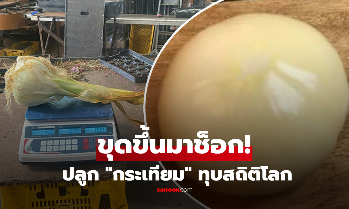 ชายปลูก "กระเทียม" เกือบปี ไม่รู้ว่าใต้ดินมีอะไร ขุดขึ้นมาช็อกทำลายสถิติโลก!