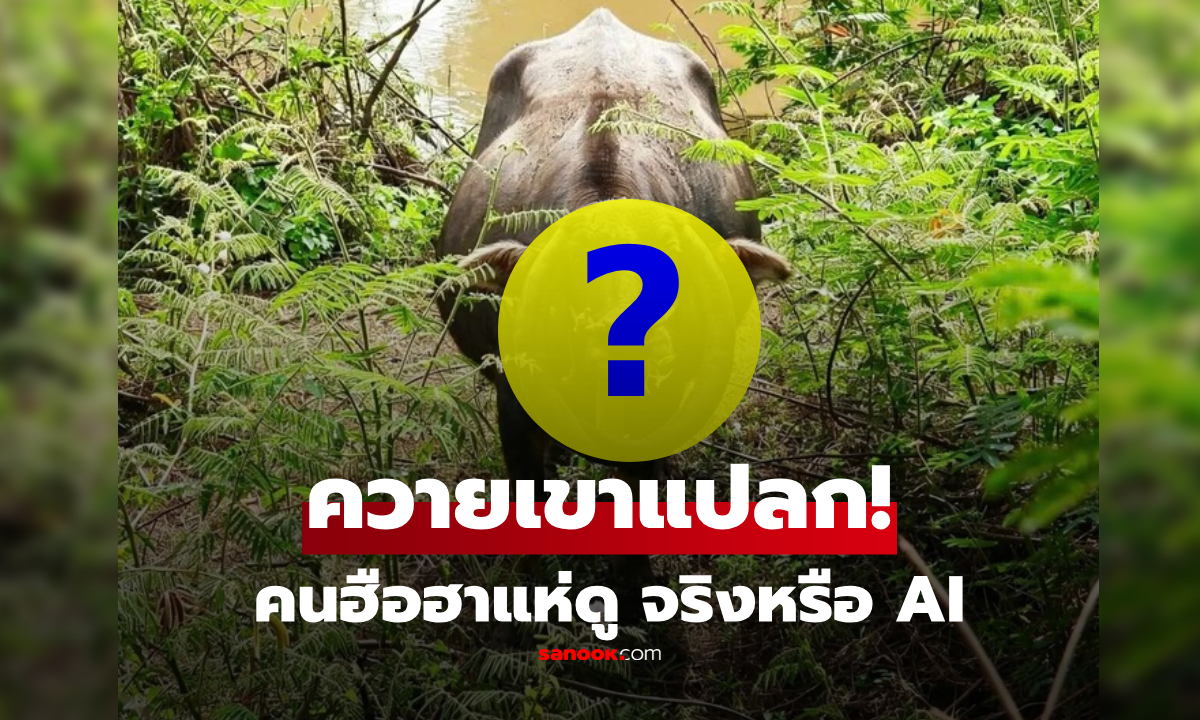 ควายดำ "เขาแปลก" ชาวเน็ตฮือฮาแห่ดู น่าทึ่งจนบางคนสงสัยว่าเป็น AI