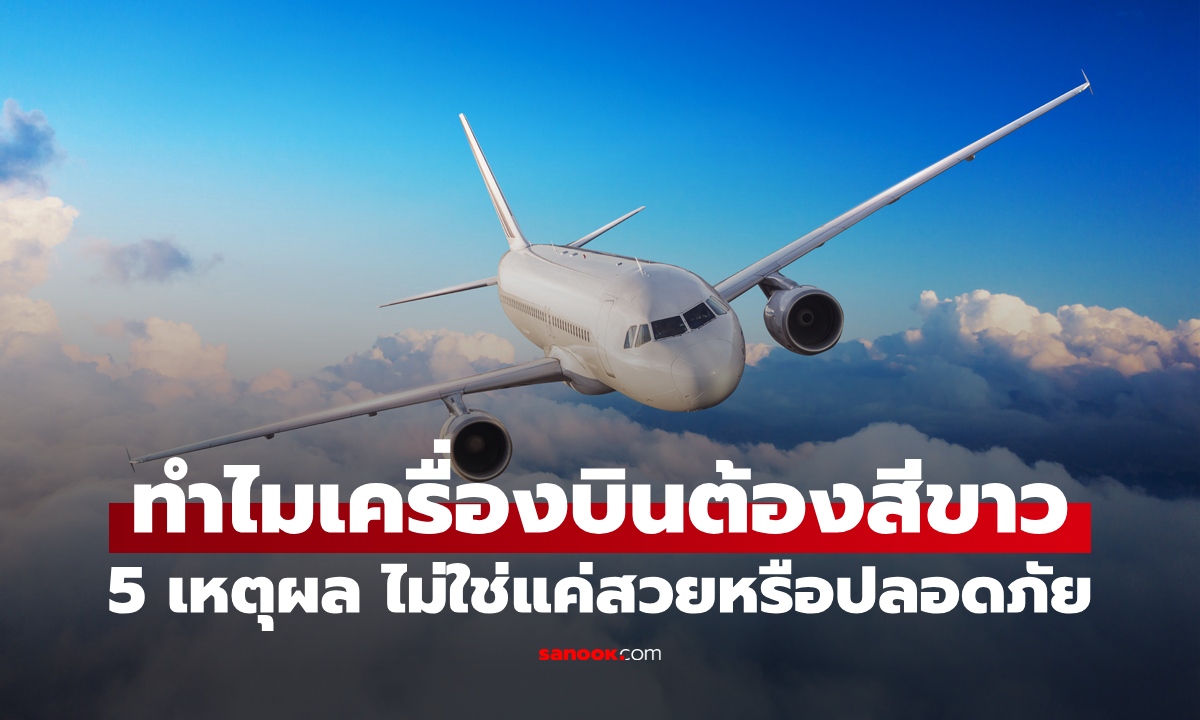 เปิด 5 เหตุผล ทำไมเครื่องบินส่วนใหญ่ทาสีขาว? ไม่ใช่แค่สวยงามหรือความปลอดภัย