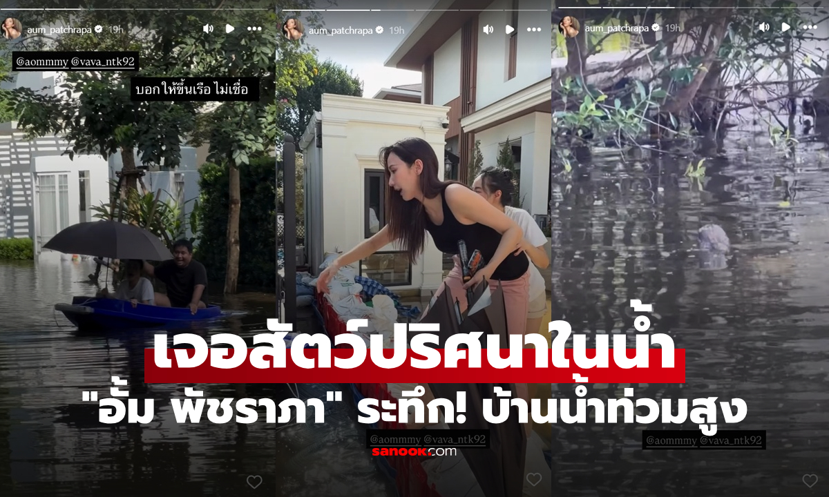 "อั้ม พัชราภา" ระทึก! บ้านน้ำท่วมสูง เปิดคลิปเจอสัตว์ปริศนาในน้ำ คล้ายงูแผ่แม่เบี้ย
