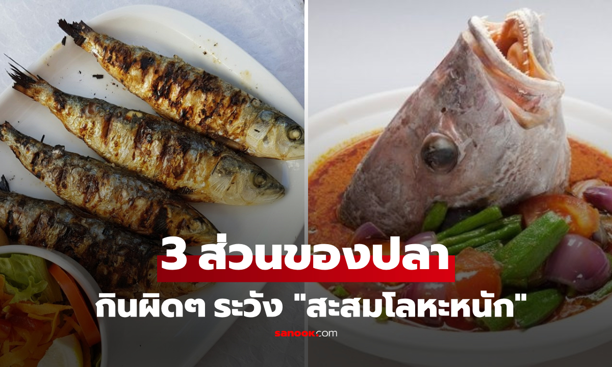 3 ส่วนของปลา ควรระวัง "สะสมโลหะหนัก" พร้อมเตือน 5 เมนู กินผิดเสี่ยงเสียสุขภาพ!