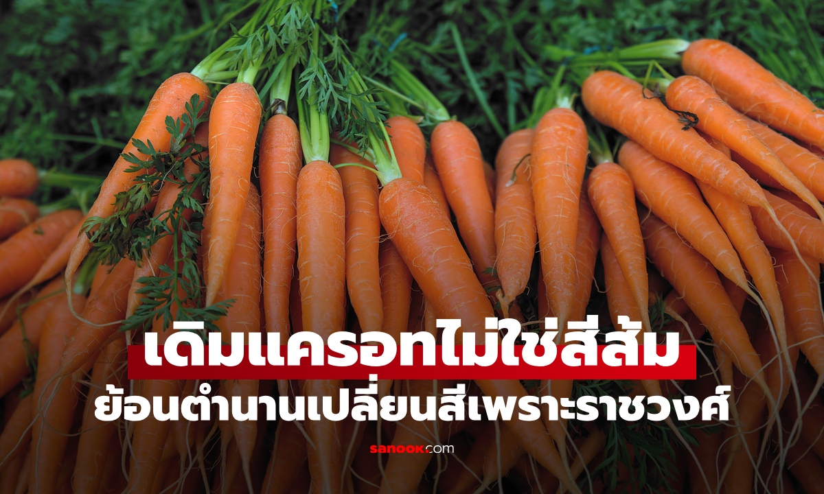 รู้หรือไม่ แครอทยุคแรกของโลก "ไม่ใช่สีส้ม" ย้อนตำนานเปลี่ยนสีเพราะราชวงศ์