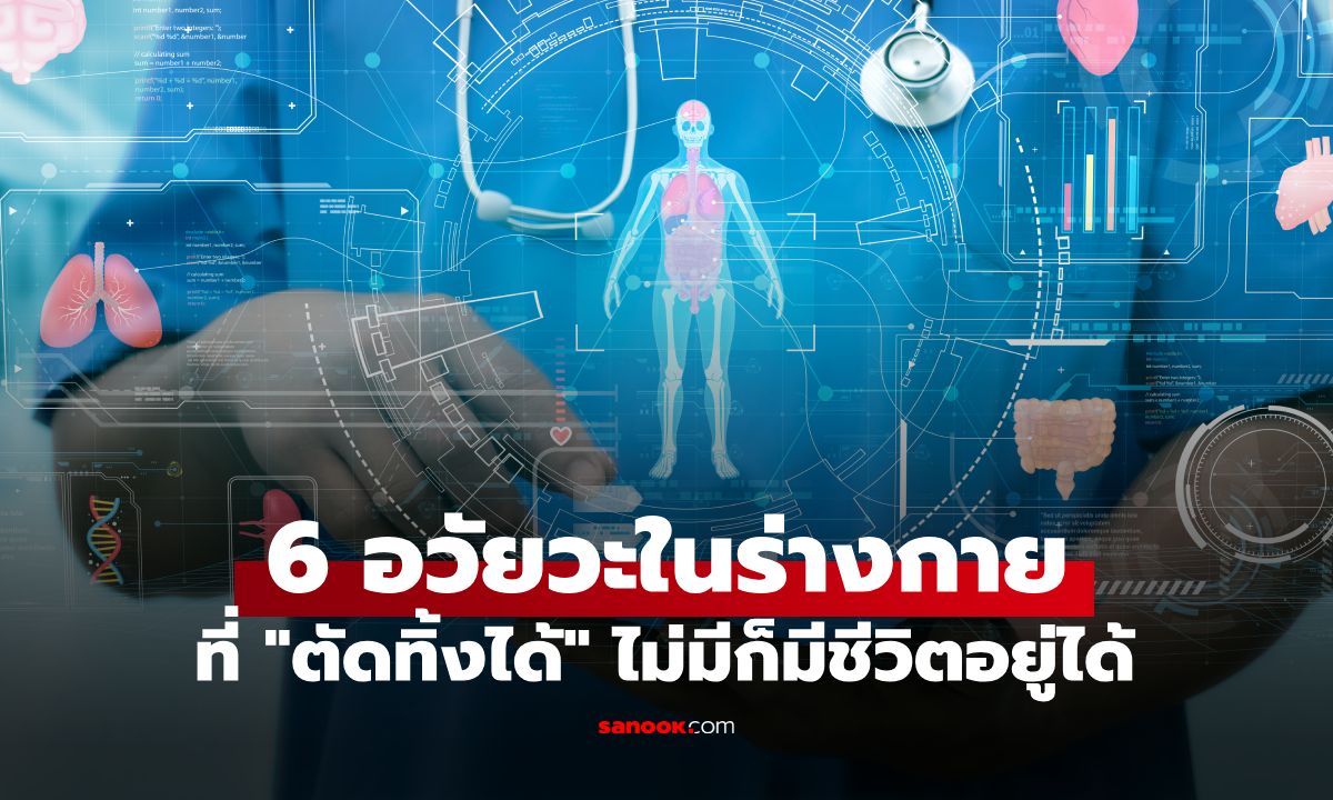 ร่างกายแอบทิ้งไว้! 6 อวัยวะในร่างกายที่ "ตัดทิ้งได้" ไม่มีก็อยู่ได้ แถมลดความเสี่ยงโรคร้าย