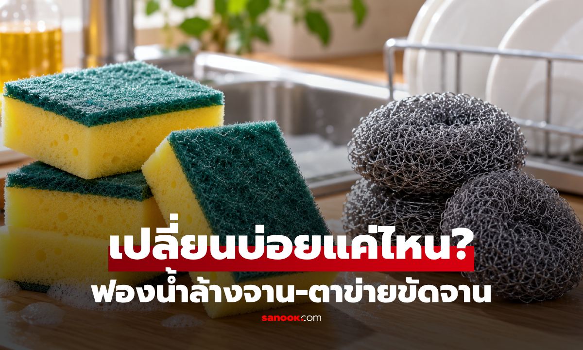 "ฟองน้ำล้างจาน" ควรเปลี่ยนบ่อยแค่ไหน? เผยจุดดูว่าถึงเวลาต้องทิ้ง!