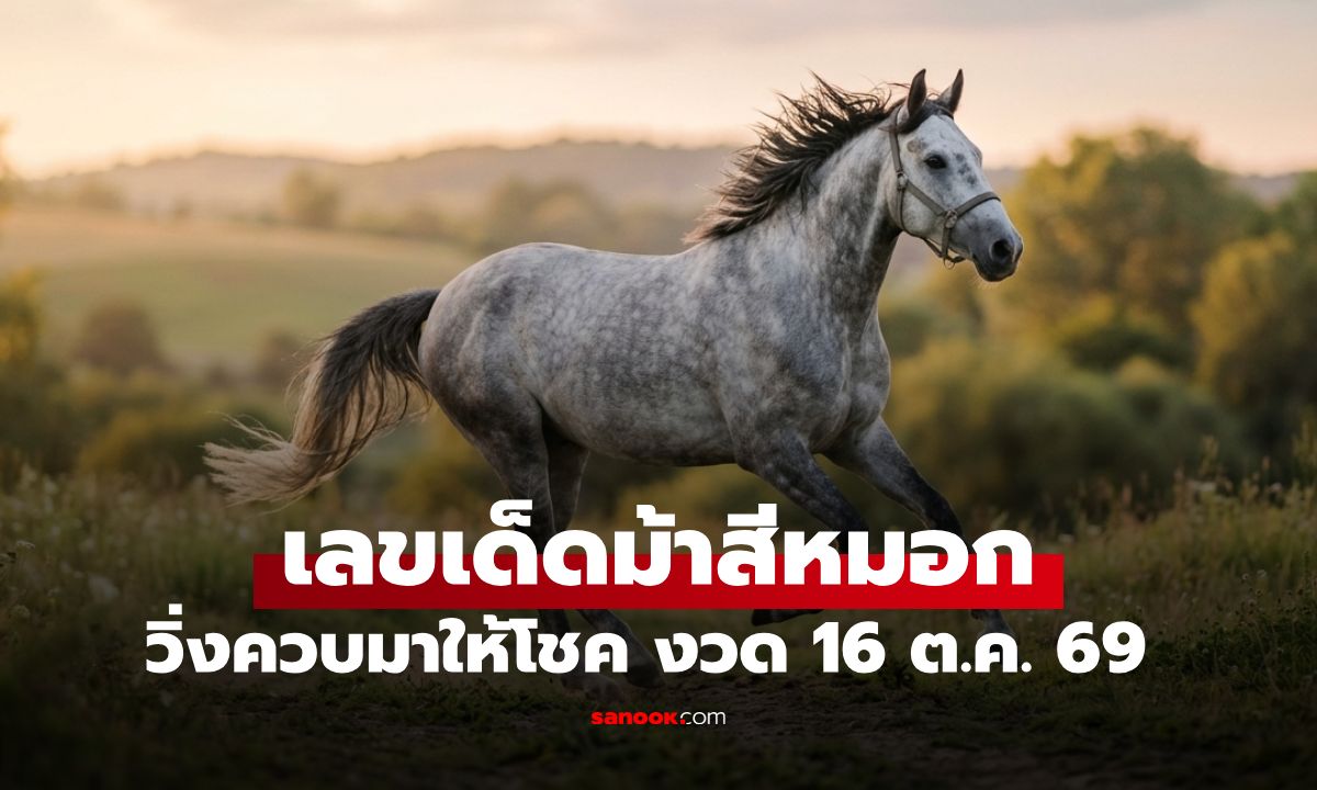 วิ่งควบมาให้โชค! เลขเด็ดม้าสีหมอก แนวทางงวด 16 ต.ค. 69 ปล่อยชุดเด่นบน-ล่าง