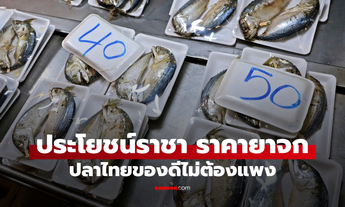 เปิดลิสต์ 5 ปลาไทย "ประโยชน์ราชา ราคายาจก" โปรตีนเน้นๆ ถูกและดีมีจริง!