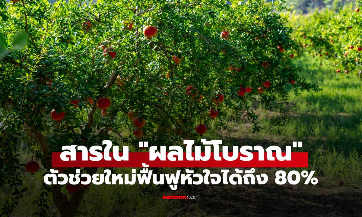 วิจัยอังกฤษค้นพบ! "ผลไม้โบราณ" ที่คนไทยคุ้นเคย ช่วยฟื้นฟูหัวใจได้ถึง 80%