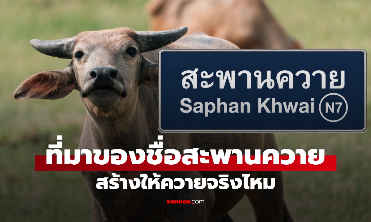 ทำไมถึงชื่อ “สะพานควาย” ที่มาย่านดังกลางกรุง สร้างสะพานให้ควายข้ามจริงหรือ?