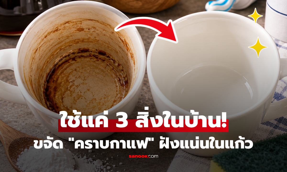 เพิ่งรู้! "คราบกาแฟ" ฝังแน่นในแก้ว ใช้แค่ 3 ของใกล้ตัว ล้างออกง่ายกว่าที่คิด