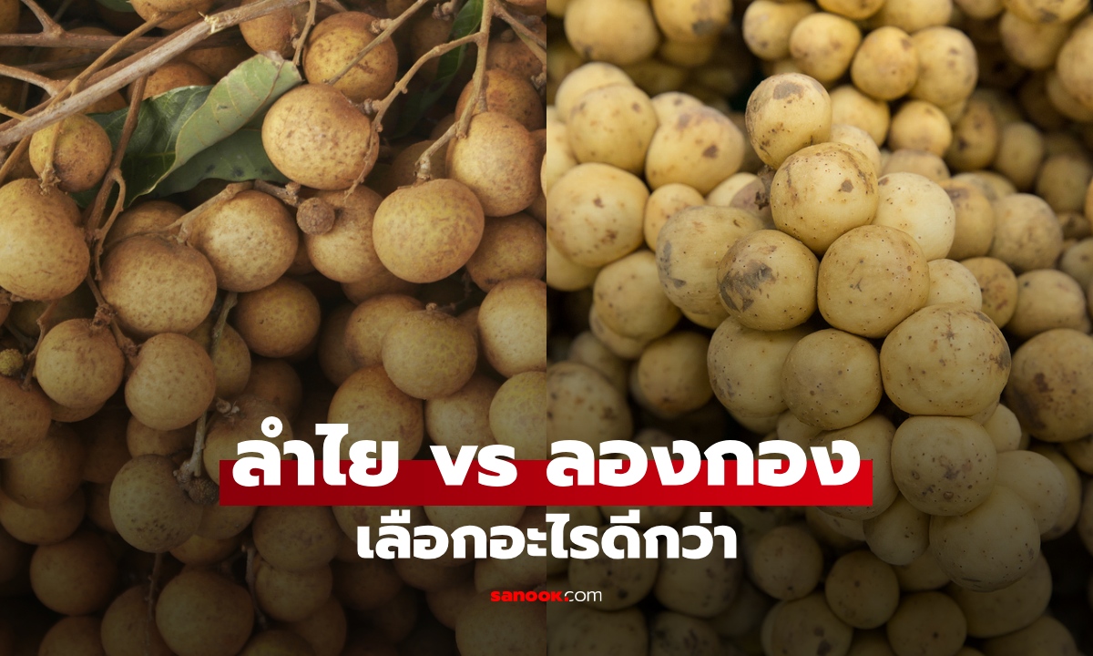 ลำไย vs ลองกอง ใครน้ำตาลสูงกว่า? เทียบประโยชน์ 2 ผลไม้ไทย เลือกอะไรดี