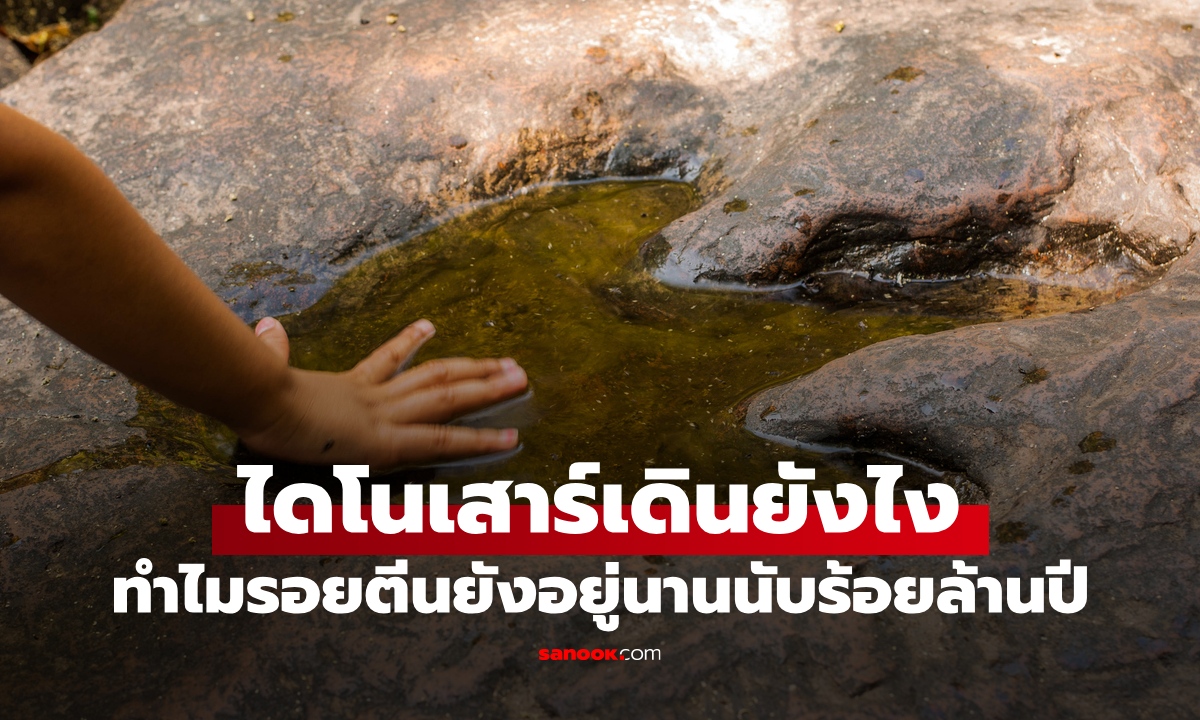 ไดโนเสาร์เดินยังไง? ทำไม 