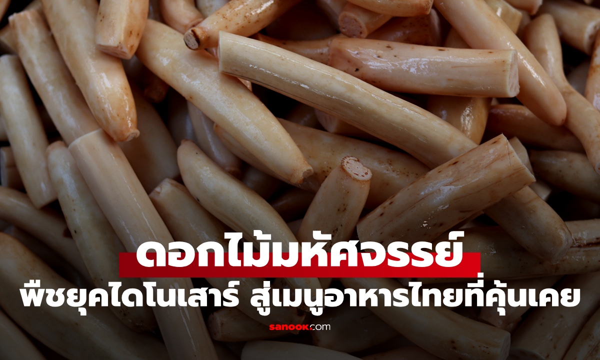 พืชดอกยุคดึกดำบรรพ์ อยู่มานาน 125 ล้านปี ตั้งแต่ยุคไดโนเสาร์ สู่อาหารไทยที่คุ้นเคย