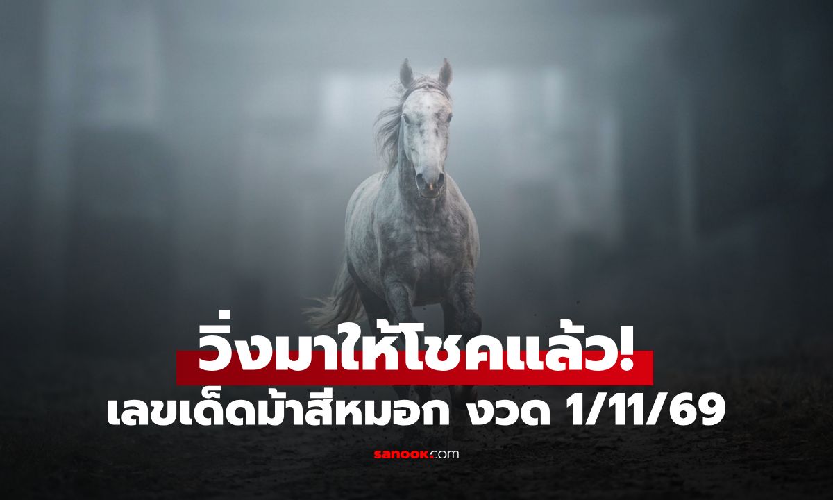 เลขเด็ดม้าสีหมอก งวด 1 พฤศจิกายน 2569 เปิดเลขเด่นบน-ล่างครบ คอหวยเช็กด่วน
