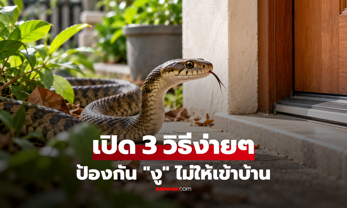 เปิด 3 วิธีง่ายๆ ในการป้องกัน "งู" ไม่ให้เข้ามาในบ้านของคุณ!