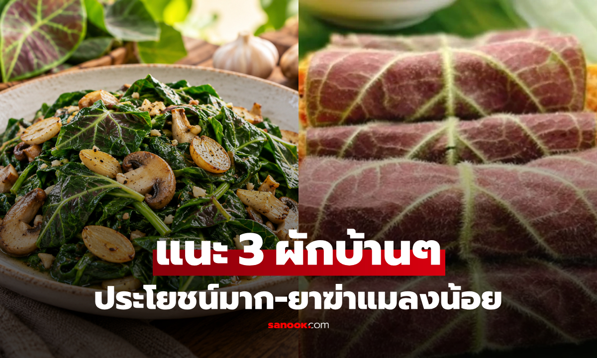 เปิด 3 ผักบ้านๆ มีประโยชน์มาก "ใช้ยาฆ่าแมลงน้อย" อันดับ 2 หลายคนไม่เคยได้ยินชื่อ!