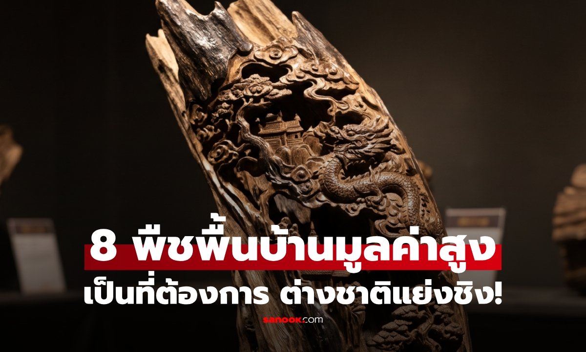 ต่างชาติแย่งชิง! 8 พืชของไทย จากพืชพรรณพื้นบ้านสู่ตลาดโลก บางชนิดมูลค่าหลักล้าน!