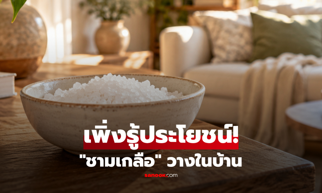 เพิ่งจะรู้! เปิด 5 ประโยชน์ "ชามเกลือ" วางในบ้าน ที่หลายครอบครัวมักทำ