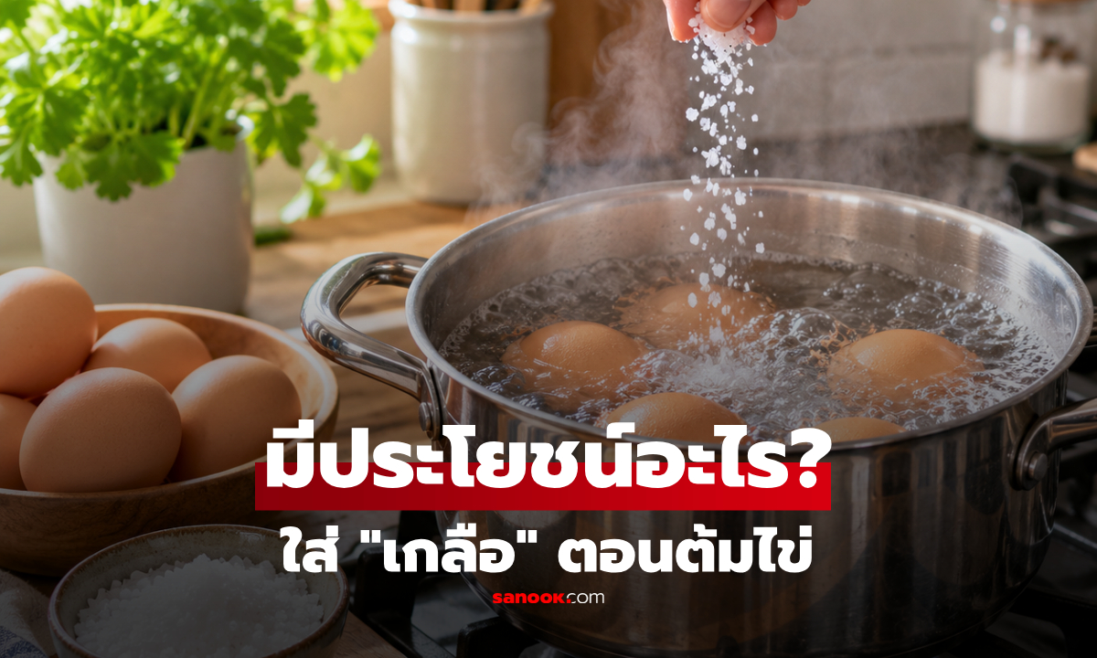"เติมเกลือ" ตอนต้มไข่ ทำไมหลายคนชอบทำ? เคล็ดลับเก่าแก่ที่มีหลักวิทยาศาสตร์!