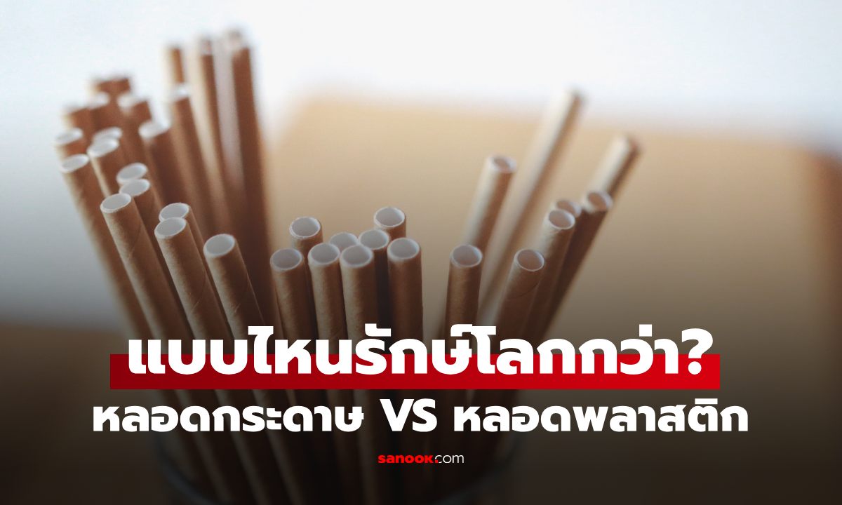 หลอดกระดาษ VS หลอดพลาสติก แบบไหนรักษ์โลกกว่า? ผลวิจัยให้คำตอบที่คาดไม่ถึง