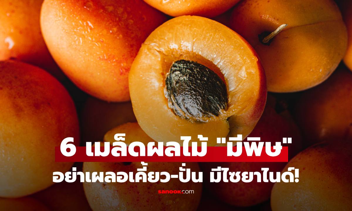 อย่าเผลอเคี้ยว! 6 ผลไม้ "เมล็ดมีพิษ" โดยเฉพาะอันดับ 1 ไม่ได้รักษามะเร็ง แต่ได้ "ไซยาไนด์" แทน!