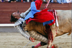 สุดยอด!! ภาพข่าวแห่งปี