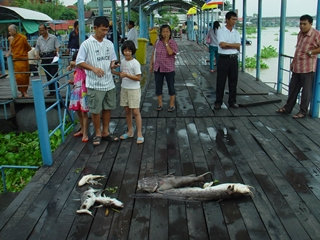 แพทย์เตือนให้ระวังนำสัตว์น้ำจากเหตุเรือน้ำตาลล่มมากิน