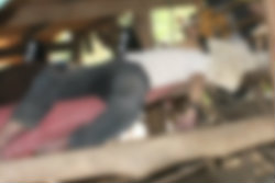 น้องปาดคอพี่ดับ ฉุนบังคับเลือกพรรคไม่ชอบ