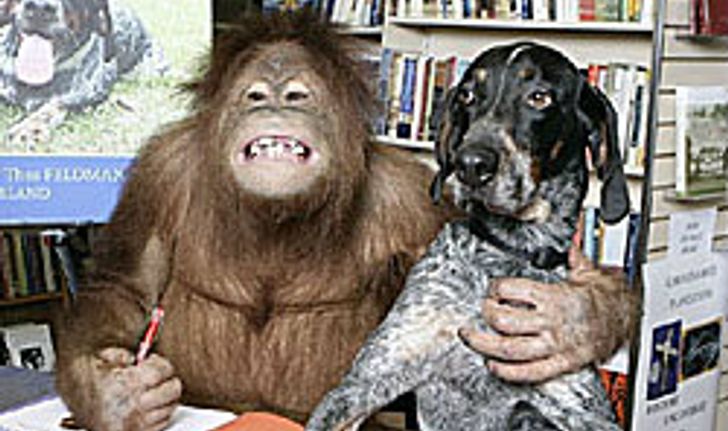 ดังจริง! เพื่อนซี้ต่างสายพันธุ์ลิงกับสุนัขที่สหรัฐ
