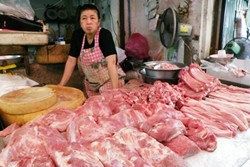 หมูแพง! ก๋วยเตี๋ยวศรีสะเกษขึ้นราคาชามละ 50