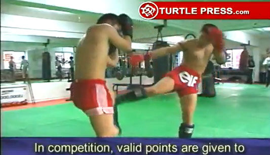 ชาวเน็ตโวย! คลิปมวยไทยสายพันธุ์ใหม่ว่อน