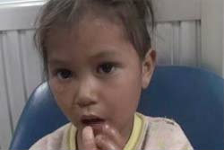 ภ.2สั่งตร.ควานหาตัวขโมยน้องพอมแพม