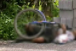 จ่อยิงหนุ่มพิการ ขณะนำข้าวไปให้พ่อป่วยอัมพาต