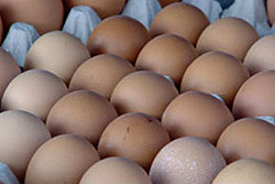 บิ๊กซี-กรมปศุสัตว์ขายไข่3.5แสนฟอง/วัน