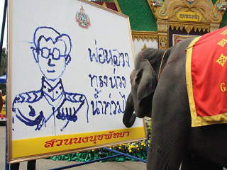 ประทับใจ! ช้างแสนรู้ วาดภาพเทิดพระเกียรติพ่อหลวง