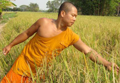 พระยอดกตัญญู ทำนาหาเลี้ยงพ่อแม่