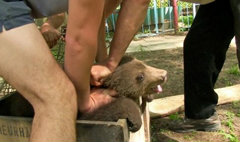 โลกด่ายับ! คลิปทำร้ายลูกหมีที่สวนสัตว์ยูเครน