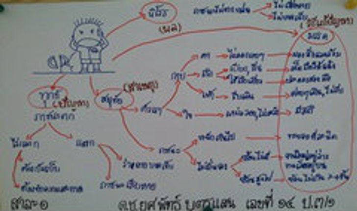 ฮือฮา! เด็กป.3 เขียน Mind Map ขั้นเทพ