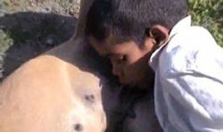 สลด! เด็กอินเดียอดอยากต้องดื่มนมหมา