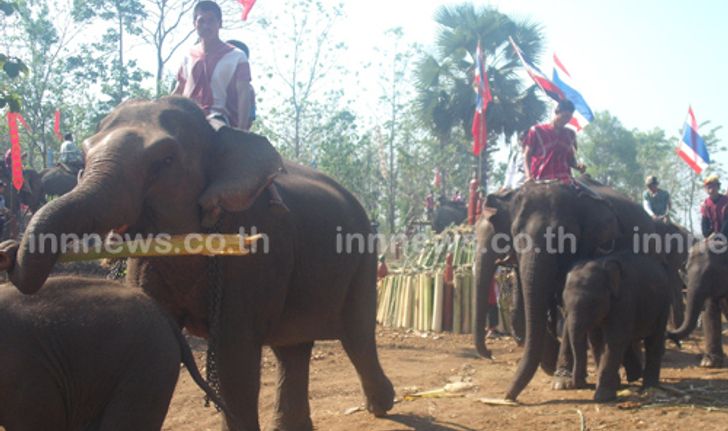 ชนเผ่าชาวปากะญอจัดงานวันอนุรักษ์ช้างไทย