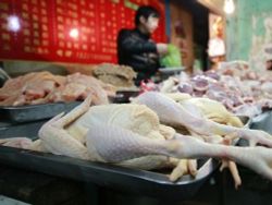 เซี่ยงไฮ้หยุดซื้อขายสัตว์ปีกป้องกันเชื้อหวัดนก