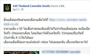 โจ๋งครึ่ม! พบเปิดเฟสบุ๊คซื้อขายเมล็ดกัญชาเกลื่อนเน็ต