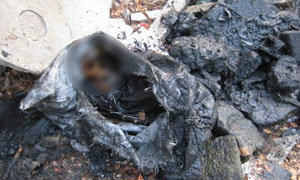 ผงะ! พบโครงกระดูกถูกฆ่าหั่นศพในบ่อเกรอะ