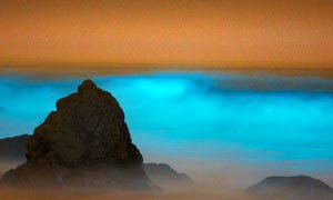 ปรากฎการณ์หายากชายหาด"เรืองแสงน้ำเงินเข้ม"