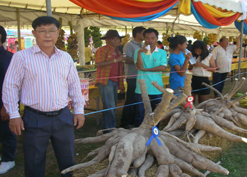 เตือนเกษตรกรระวังศัตรูพืชระบาด