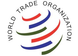 อาเซเวโด้ นั่ง ผอ. WTO คนใหม่