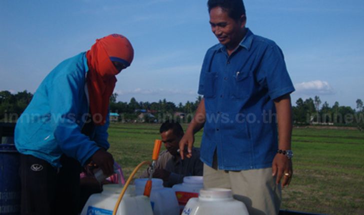 เกษตกรศรีขรภูมิเร่งพ้นยาฆ่าหนอนกระทู้