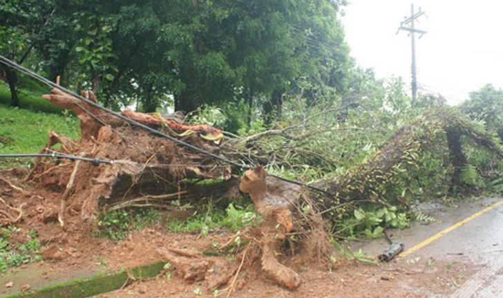 ระนองสำรวจจุดเสี่ยงดินถล่มหลังฝนหนัก