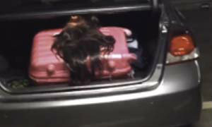 ผวา! กระเป๋าชมพูตามหลอน ดาราสาว