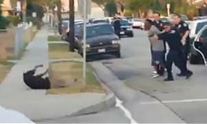 สุนัขช่วยเจ้าของ ถูกตำรวจยิงตายคาที่