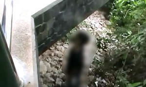 หนุ่มนิรนามผูกคอตายบนจุดชมวิวเมืองพัทยา